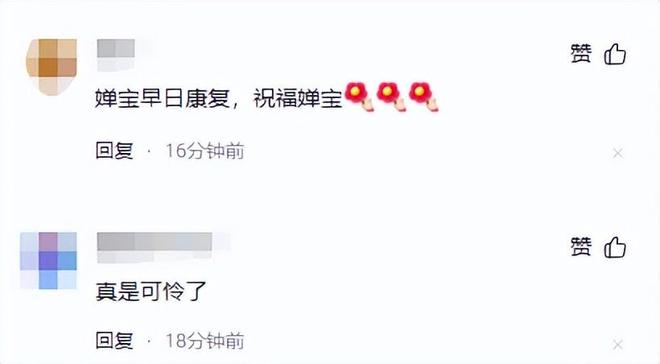 婵传出不好消息夺冠路再蒙阴影全国跳水冠军赛开战在即全红(图9)